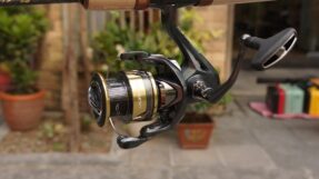 May Shimano Ultegra 2025