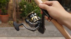 May Shimano Ultegra 2025