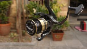 May Shimano Ultegra 2025