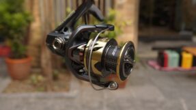 May Shimano Ultegra 2025