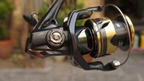 May Shimano Ultegra 2025