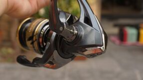 May Shimano Ultegra 2025