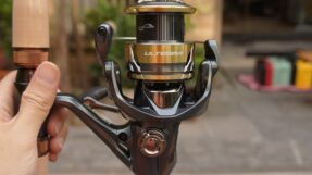 May Shimano Ultegra 2025