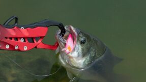Moi UL Minnow H01 5cm1 3g5
