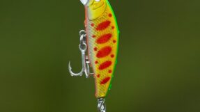 Moi UL Minnow H01 5cm1 3g5