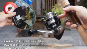 Combo Cần Máy Dọc UL Câu Suối Rock N Roll & Daiwa StrikeForce