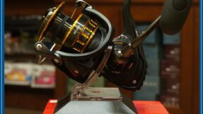 Máy Câu Dọc Daiwa BG