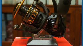 Máy Câu Dọc Daiwa BG