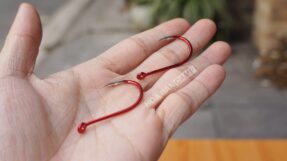 BKK Red Octopus Beak