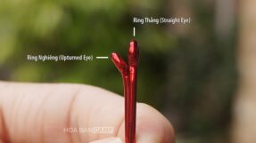BKK Red Octopus Beak