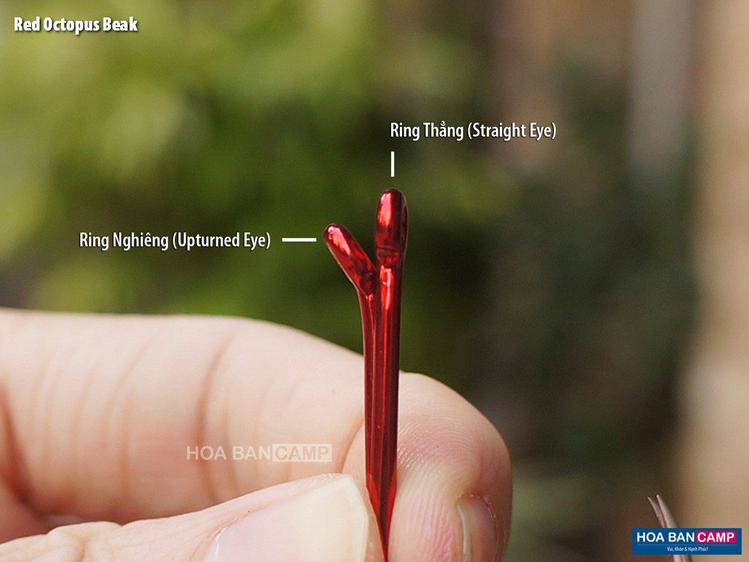 BKK Red Octopus Beak