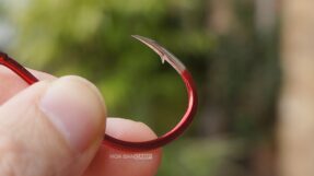 BKK Red Octopus Beak
