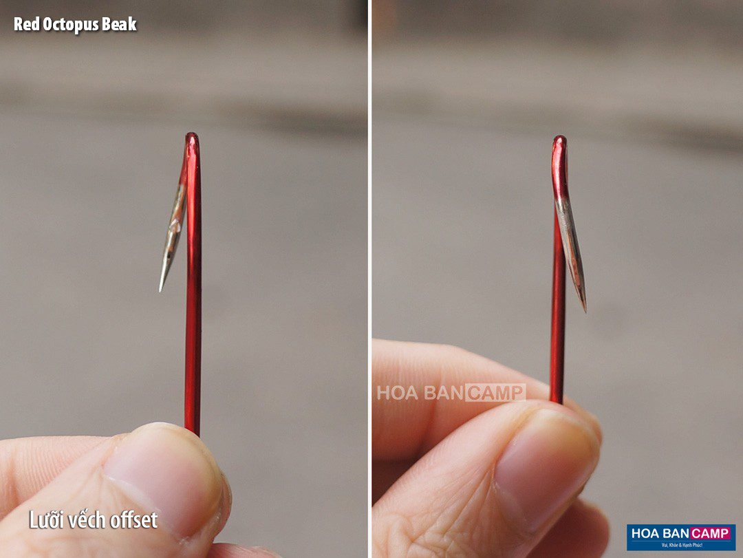 BKK Red Octopus Beak