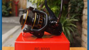 Daiwa BG