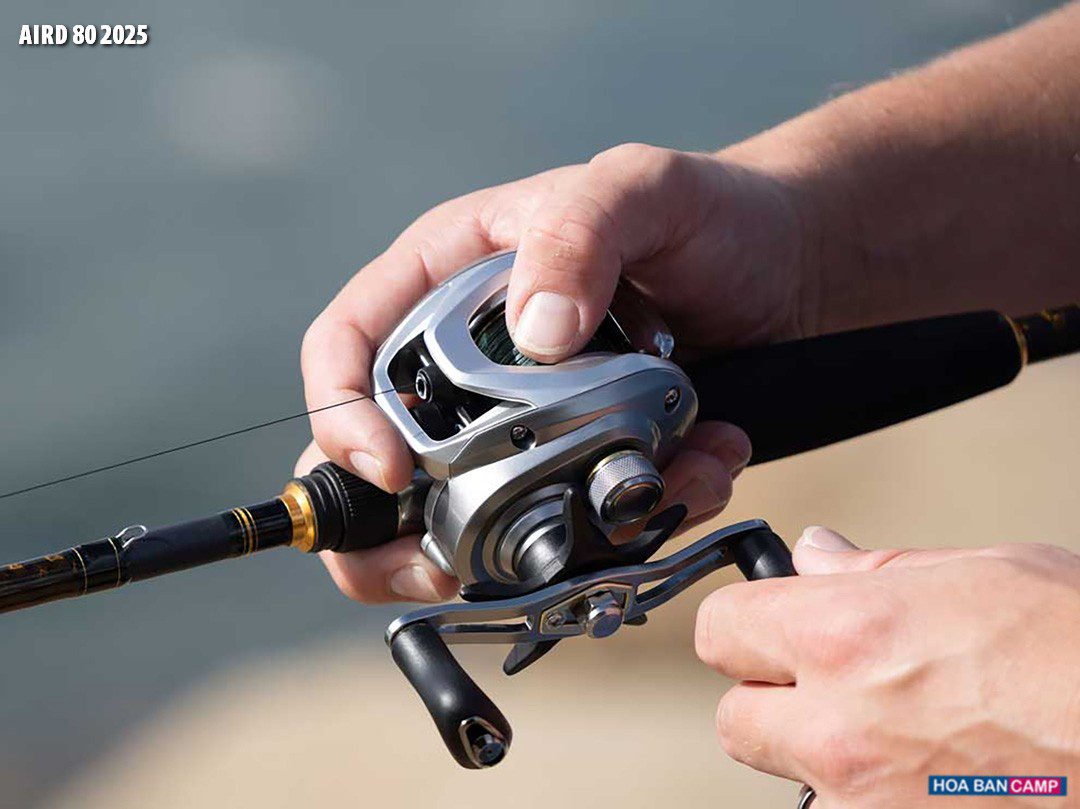 May cau ngang Daiwa AIRD 80 2025
