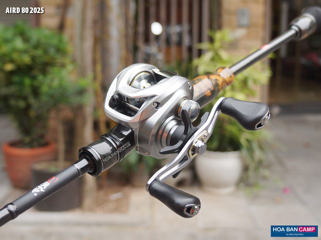 May cau ngang Daiwa AIRD 80 2025