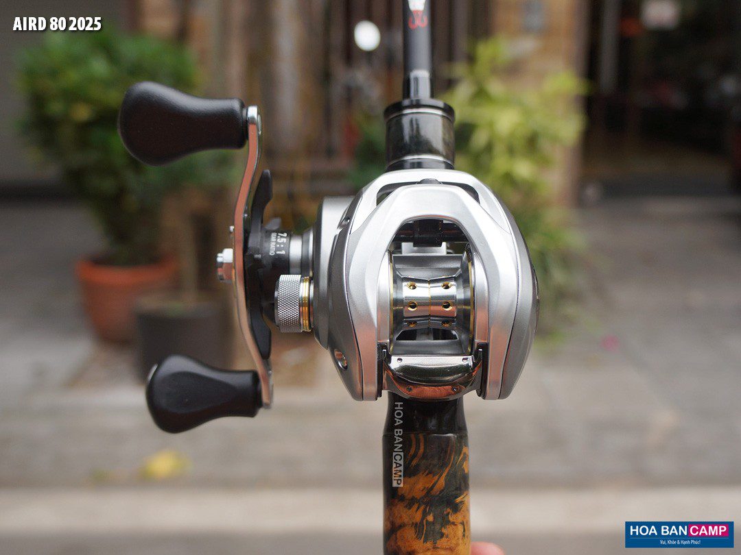 May cau ngang Daiwa AIRD 80 2025