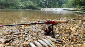Combo Lure Suối Rút Gọn Weihe