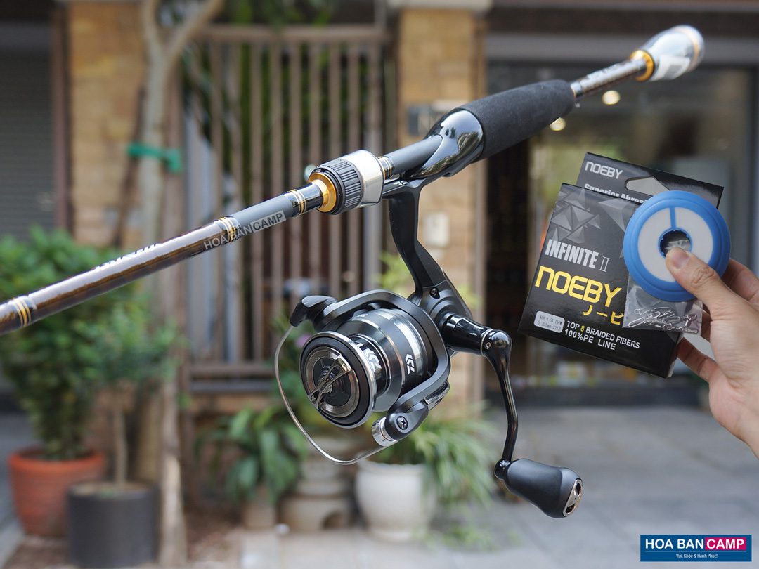 Combo Daiwa AIRD-X & RZ