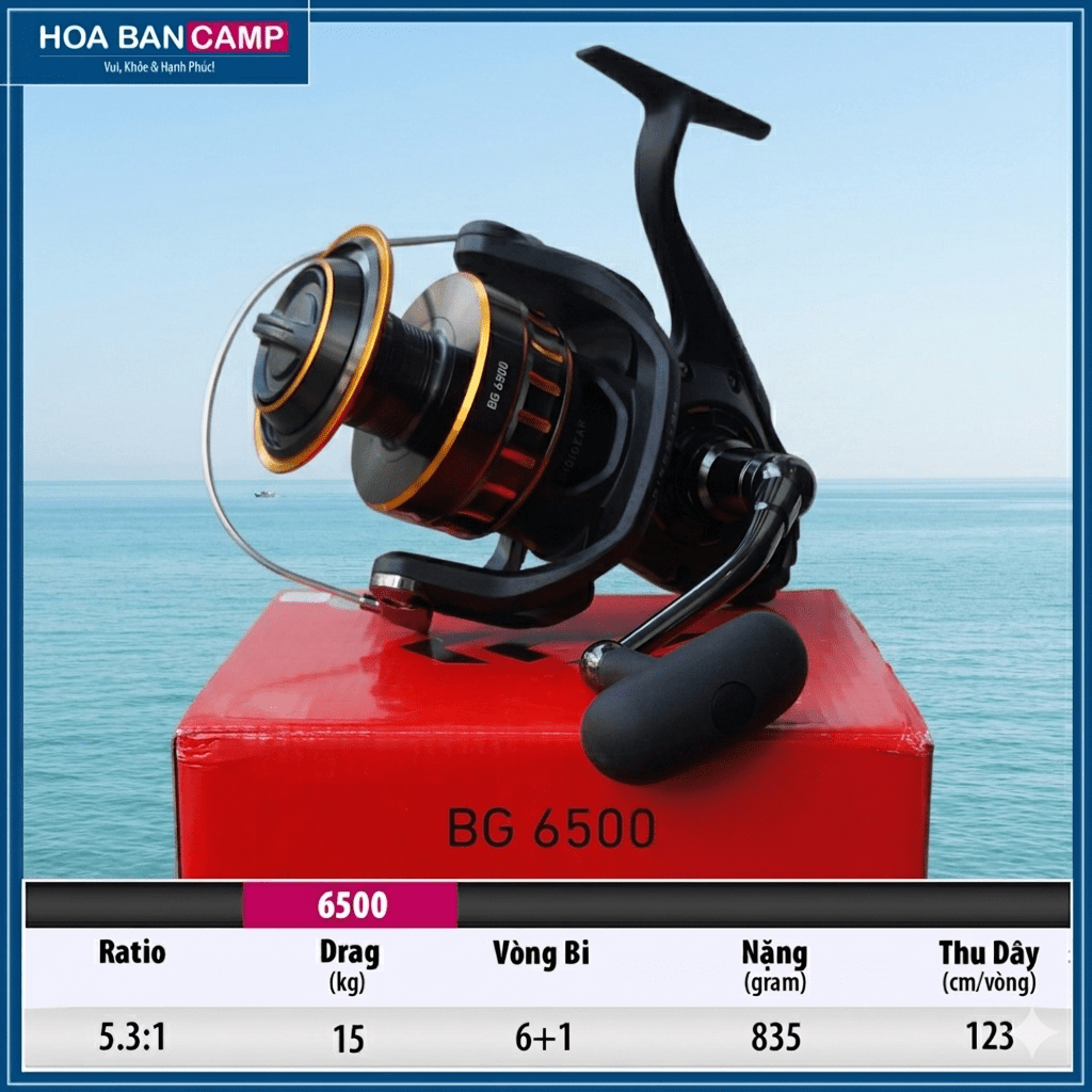 May Cau Daiwa BG 6500