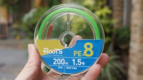 Day du Gosen ROOTS PE X8 150-200m