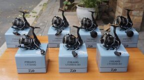 Daiwa Freams LT | 2026
