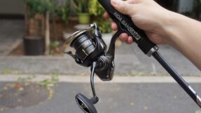 Daiwa Freams LT | 2026