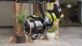 Daiwa Freams LT | 2026