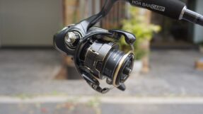 Daiwa Freams LT | 2026