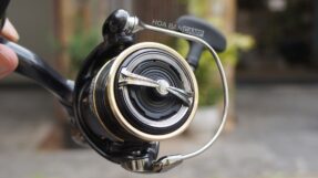 Daiwa Freams LT | 2026