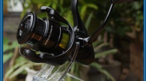 Daiwa Revros EX LT | 2026