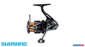 May Shimano Nexave 2026