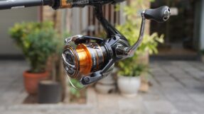 Shimano Nexave 2026
