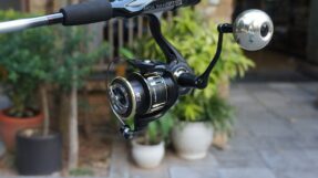 Daiwa ZX & ZX ARK | 2026