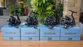 Daiwa ZX & ZX ARK | 2026