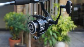 Daiwa ZX & ZX ARK | 2026